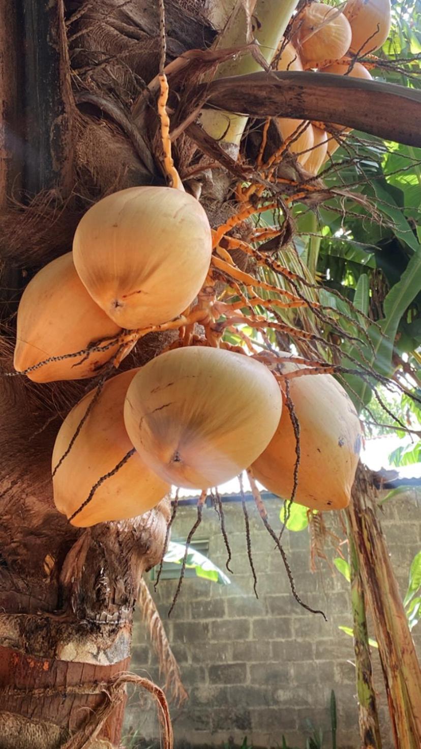 Casa Esmeralda 莫约加尔帕 外观 照片